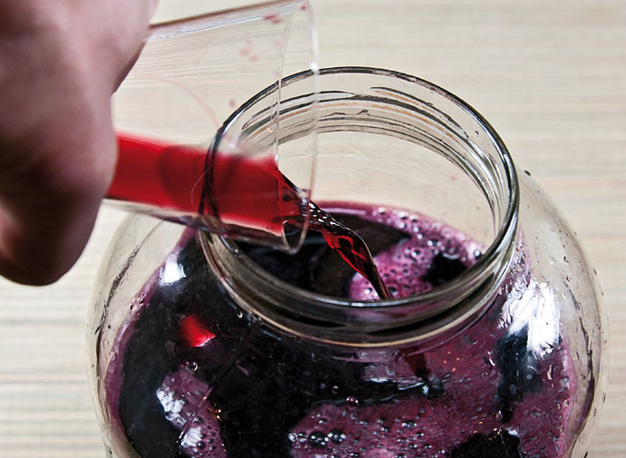 1. Этап. Вино из рябины: 14. Примерно через 2-2.5 месяца вино начнет приобретать прозрачность и светлеть. Это значит, что первый этап пройден и при желании можно попробовать, что получилось.