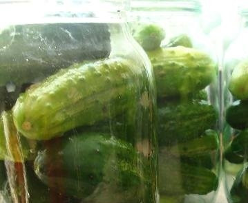 1. Этап. Огурчики в заливке: Вымытые огурчики укладывайте в банки максимально плотно. Прижимайте плоды друг к другу, укладывая их в вертикальном положении.