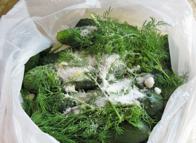 1. Этап. Быстрые малосольные огурцы за 5 минут: 2. Складываем сухие подготовленные огурцы в целлофановый пакет. Всыпаем соль, сахар, измельченный чеснок и укроп. Завязываем пакет и помещаем его еще в один пакет. А затем тщательно встряхиваем его минут пять, чтоб соль распределилась. Оставим на столе.