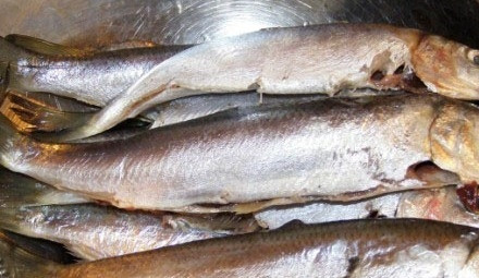 1. Этап. Салака жареная: Для начала нам необходимо очистить рыбу от потрохов и хорошенько промыть под холодной водой. Головы и хвосты мы оставим, так наше блюдо будет выглядеть намного красивее.