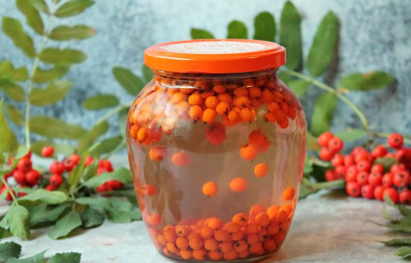 1. Этап. Компот из красной рябины на зиму: Хороших заготовок!