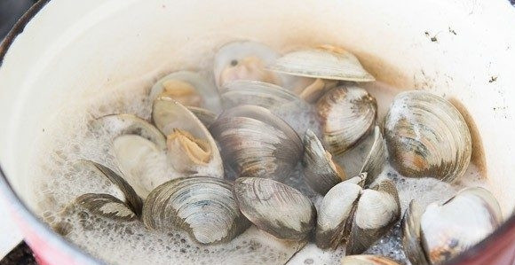 1. Этап. Похлёбка с моллюсками: 1. Моллюски тщательно промойте. Потом выложите их в кастрюлю с вином. Варите, пока все раковины не раскроются. На это уйдёт около 30 минут.