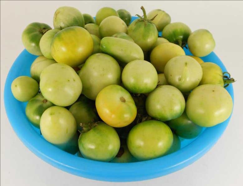 1. Stage. Green tomato salad: In a meat grinder on a large nozzle, grind tomatoes, red bell peppers, green bell peppers and onions. Strain all the juice from the resulting mass.