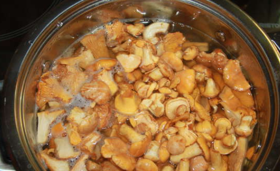 1. Этап. Лисички, запеченные в духовке: Лисички тщательно промываем и отвариваем в кипящей, подсоленной воде 15 минут.