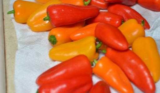 1. Этап. Маринованный болгарский перец с чесноком: 1. Перцы вымойте и обсушите бумажным полотенцем. На сковороде разогрейте немного растительного масла.