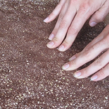 1. Этап. Шоколадный рулет с грецкими орехами: Добавляем в муку половину какао-порошка и половину нектара агавы. Измельчаем до однородности. Покрасившееся в шоколадный цвет тесто при помощи рук равномерно распределяем по пекарской бумаге. Толщина теста должна не превышать 1 см, а оптимально - примерно 0,5 см.