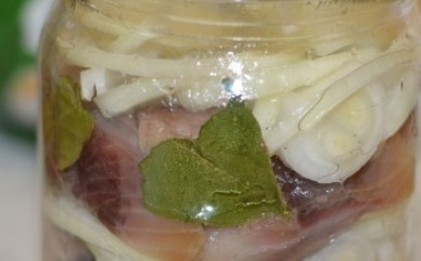 1. Этап. Маринованная сельдь с луком: Заливаем все маринадом, закрываем баночку крышкой и убираем в холодильник часов на 7- 8. Во время маринования пару-тройку раз баночку встряхиваем или переворачиваем, чтобы маринад распределился по всей рыбке.