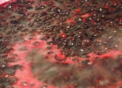 1. Этап. Желе из черной смородины на зиму: 3. Когда смородина проварилась, всыпьте сахар. Постоянно помешивая, доведите до кипения. Помешивать лучше всего деревянной лопаткой. Варите желе на быстром огне, все время размешивая в течение 5-7 минут.