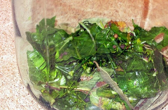 1. Этап. Соленые помидоры: 3. Чистые и желательно простерилизованные банки наполните зеленью.