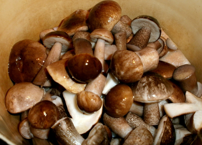 1. Этап. Маринованные подберезовики на зиму: Грибы необходимо перебрать, промыть и очистить.