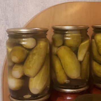 1. Этап. Огурцы маринованные: Месяц банки простояли в квартире, когда дали отопление перенесла их в 
