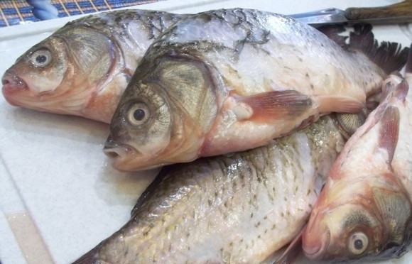 1. Этап. Караси, запеченные в духовке: 1. При покупке рыбы сразу попросил, чтобы ее очистили от чешуи, поэтому рыбу уже дома очищаю только от внутренностей и тщательно промываю внутри и снаружи.