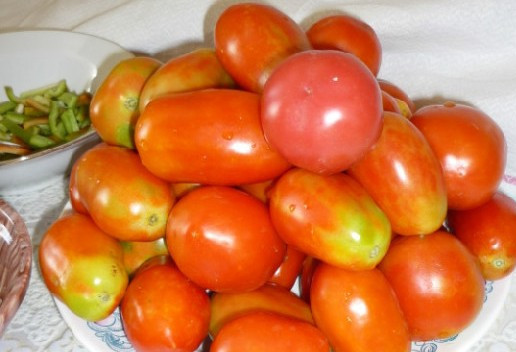 1. Этап. Фаршированные помидоры на зиму: Помидоры выбираем немного недозрелые, главное, чтобы они были твердые и крепкие. Промываем их под холодной водой.