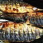 Grilled mackerel