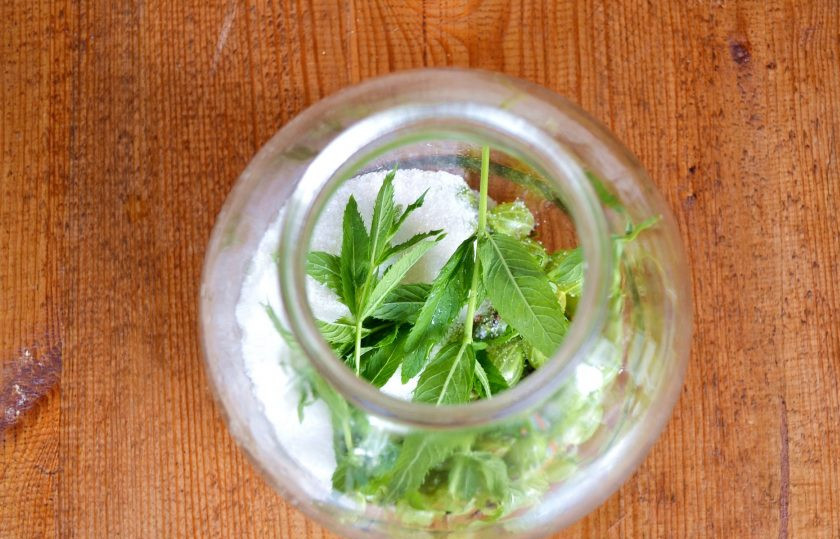 1. Этап. Компот из крыжовника с мятой: Положите мяту.