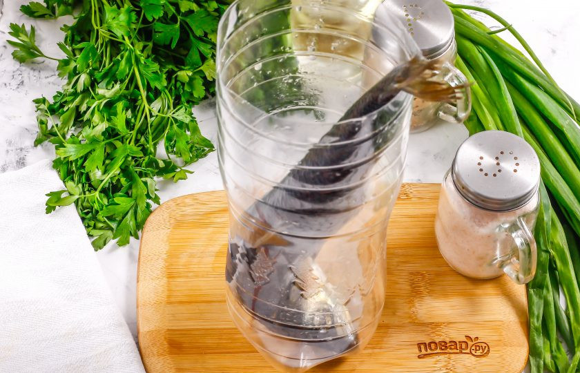 1. Этап. Засолка селедки в бутылке: Сельдь очистите от чешуи, промойте в воде, но не вспарывайте рыбе брюшко. Срежьте горлышко у бутылки емкостью 1,5 литра, выложите в него селедку головой вниз.