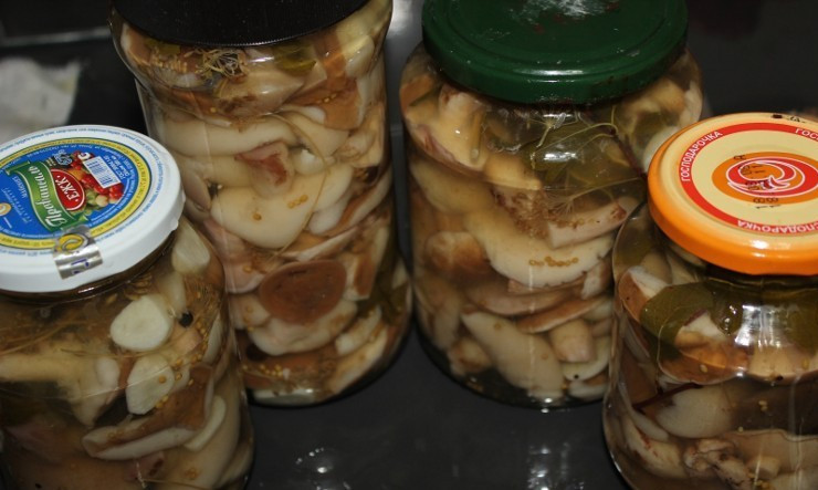 1. Этап. Маринованные маслята в масле: Затем маринованные маслята в масле необходимо хранить в холодильнике.