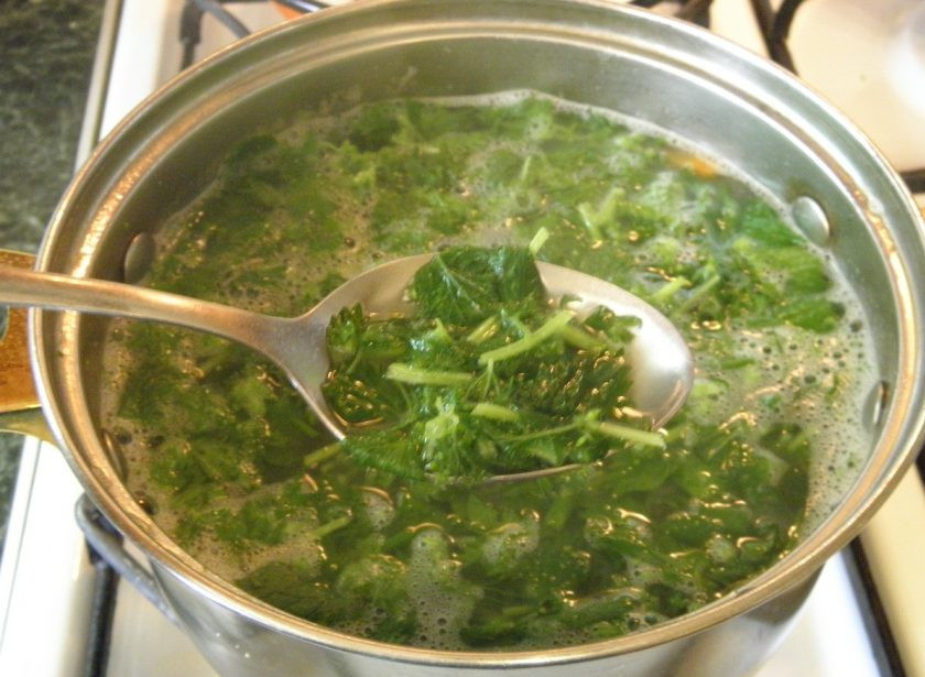 1. Этап. Щи из крапивы: 6. Добавьте спассерованную муку, всю зелень. Уберите корень петрушки из бульона. Проварите пару минут. Дайте настояться щам минут 15.