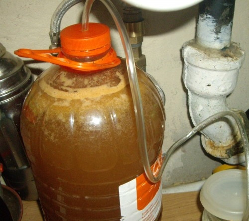 1. Этап. Вино из яблок: В крышку вставьте чистый шланг. Проведите его второй конец в банку с водой. Оставьте вино на 1,5-2 месяца в тёмном месте, чтобы из него вышли все газы.