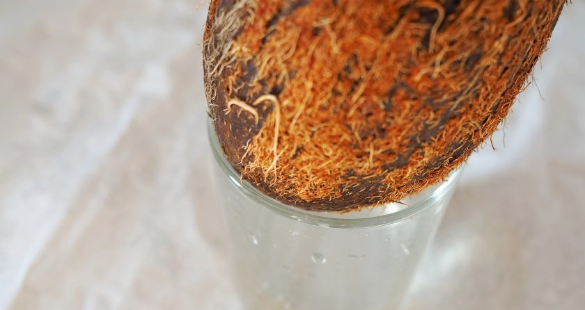 1. Этап. Молоко из кокоса: Кокос имеет 3 глазка, один из которых мягче остальных. При помощи острого ножа проделайте в нём отверстие и слейте сок в отдельную ёмкость.