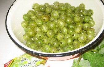 1. Этап. Варенье из крыжовника с желатином: 1. Подготовим ингредиенты. Я желатин заменила уже готовой смесью для конфитюра.