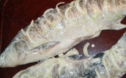 1. Этап. Жереха с грибами: Рыбу почистите и помойте. Сделайте в ней надрезы. В них уложите лук. Саму рыбу хорошо просолите. Всё поперчите и обмажьте майонезом. Оставьте блюдо мариноваться на 2 часа.