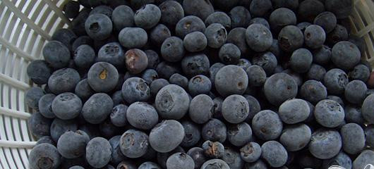 1. Этап. Витаминный напиток Черничное блаженство: 2. Если вы используете замороженную ягоду, то лейте воду любой температуры, если же ягоды свежие, заморозьте воду и используйте кубики льда.