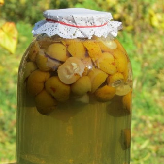 Компот из лимонника