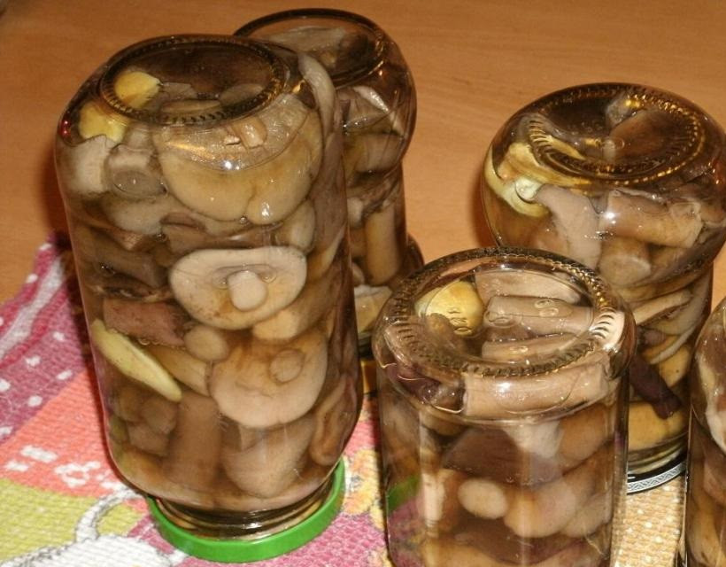 1. Этап. Подберезовики на зиму: Приятного аппетита!