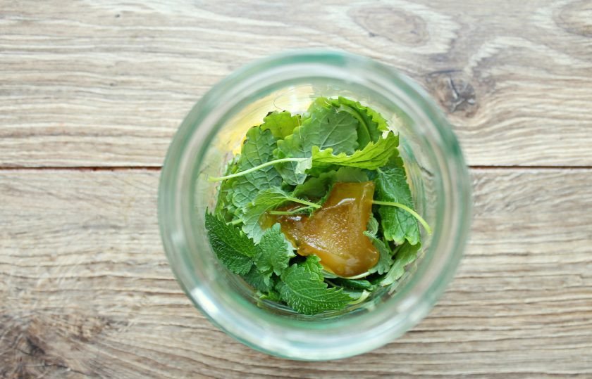 1. Этап. Мятно-лимонная настойка: У мяты удалите стебли и выложите листья в банку, добавьте мед.