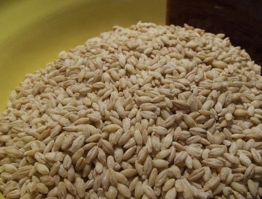 1. Этап. Кутья с молоком: Для приготовления кутьи в первую очередь необходимо перебрать зерна пшеницы, отобрав испорченные, проросшие, а затем промыть пшеницу в тёплой водичке. Зерно нужно промывать до тех пор, пока Вы не убедитесь в том, что в крупе не осталось никаких отходов, шелухи или же мусора. Из дуршлага должна вытекать чистая вода.