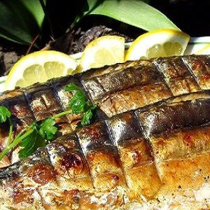Скумбрия на мангале