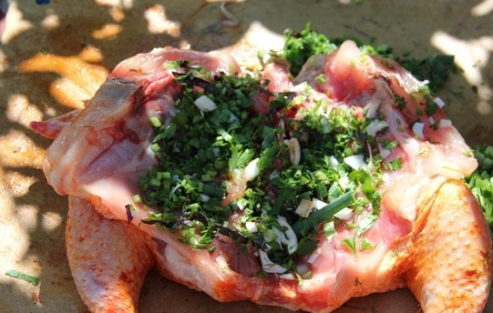 1. Этап. Цыпленок табака на гриле: Итак, разрезаем грудину курицы, тщательно промываем тушку со всех сторон и высушиваем ее. Теперь курицу необходимо распластать и немного отбить молоточком, чтобы придать ей плоский вид. Натираем тушку специями и солью, в середину выкладываем измельченную зелень.