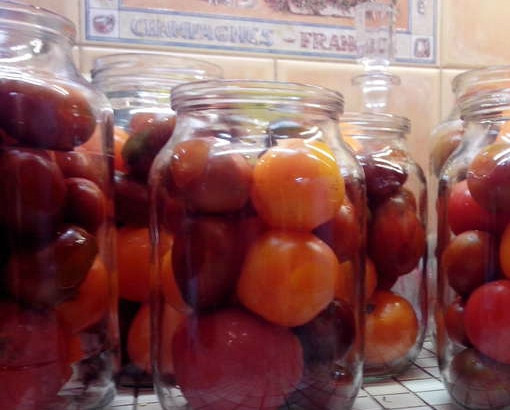 1. Этап. Томаты в собственном соку: Отбираем помидоры. Самые твердые откладываем в одну сторону. Помягче - в другую. Твердые помидоры останутся у нас целыми. А мягкие пойдут на пюре. Нужно, чтобы твердых было больше. Хотя, это необязательно. Тщательно промываем все помидоры. Закладываем твердые в стерилизованные банки.