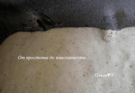 1. Этап. Сладкий дынный хлеб: Налейте опару. Включите хлебопечку, выберите программу 