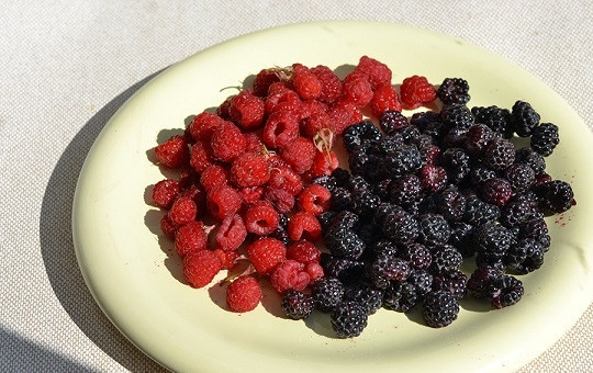 1. Этап. Творожно-сметанный торт: 8. А также ежевика и малина. Все ягоды предварительно нужно как следует вымыть и обсушить.