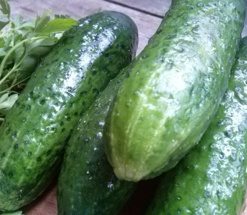 1. Этап. Маринованные огурцы без закатки: Огурцы и укроп помойте, очистите чеснок.