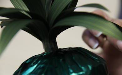 1. Этап. Ананас из конфет: 6. Распушить бумагу так, чтобы получились листья.