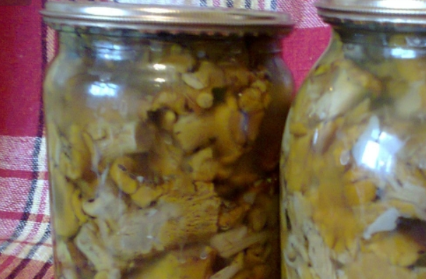 1. Этап. Маринованные лисички на зиму: На дно стерилизованных банок кладем зубчики чеснока и веточки укропа. Раскладываем грибы по банкам, заливаем маринадом и закрываем крышками. Укутываем банки до полного остывания, затем храним в холодильнике. Приятного аппетита!