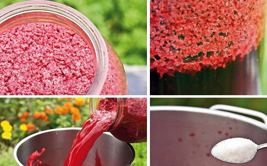 1. Этап. Вино из малины: 2. Брожение — очень важный этап, за ним нужно наблюдать. Если сок опускается вниз, а вверху образуется мезга, все идет как надо. Следующий этап — это 