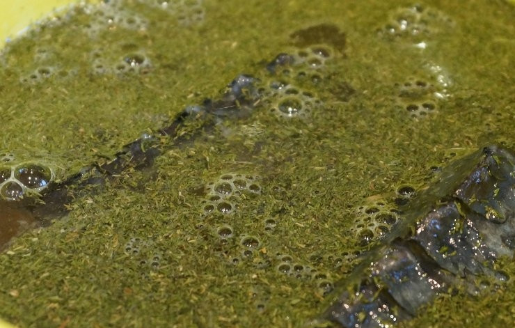 1. Этап. Копченый осетр: 4. Отправляем в маринад крупные кусочки нашей рыбы и оставляем на ночь в холодильнике.