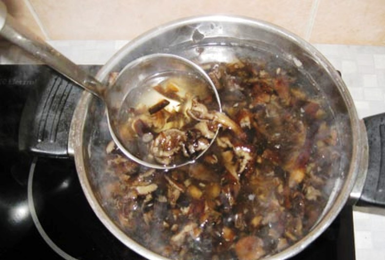 1. Этап. Суп из свежих опят: Залейте их холодной водой, поставьте на огонь и доведите до кипения. Снимайте пену по мере образования. Кода вода закипит, установите средний огонь и варите грибы 40 минут.