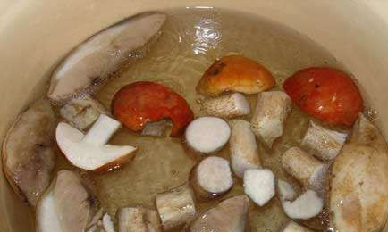 1. Этап. Подосиновики консервированные: 2. Замачиваем грибы в холодной воде на один час. После этого бросаем их в подсоленную кипящую воду, предварительно нарезав каждый гриб. Это нужно сделать для того, чтобы они не почернели. Отвариваем их около часа, сливаем воду и раскладываем по стерилизованным банкам. Теперь очередь маринада.