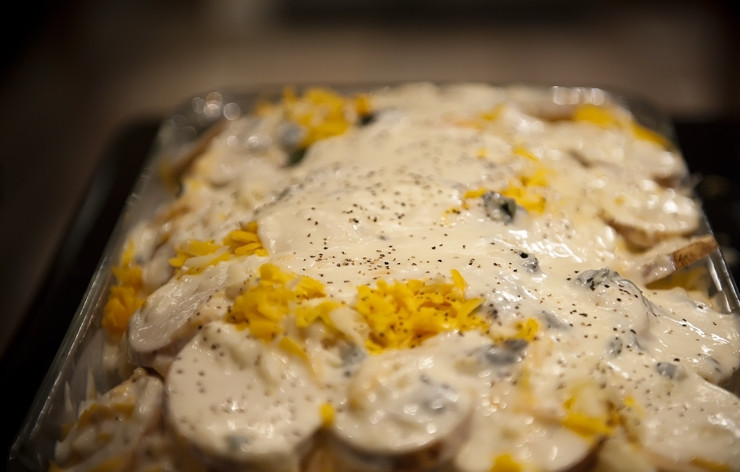 1. Этап. Картофельная запеканка с беконом: Всю красоту щедро посыпаем сыром, заливаем соусом, досыпаем остатки сыра и добавляем по вкусу соль и молотый перец.