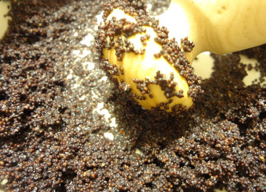 1. Этап. Сочиво с лимончиком: 5. Процеживаем мак через сито и добавляем мед. Толкушкой перемалываем ингредиенты, после чего перемешиваем до однородного состояния.