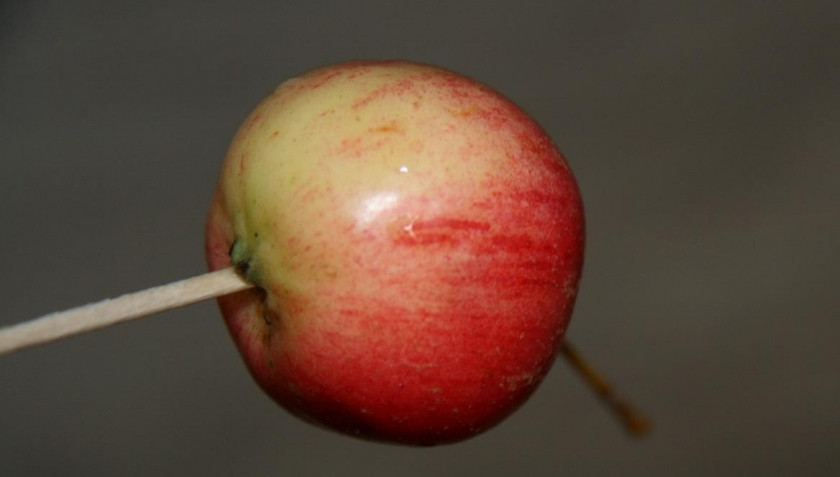 1. Этап. Варенье из ранеток с хвостиками: 3. Каждое яблоко протыкаем у основания.