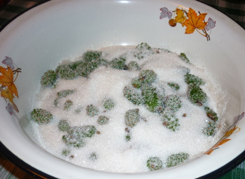 1. Этап. Варенье из зеленых сосновых шишек: 2. Теперь отцедим шишки, засыпем их сахаром, и пусть постоят 12 часов.