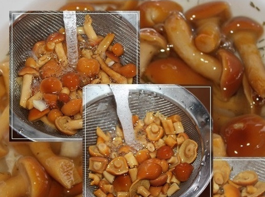 1. Этап. Солянка с креветками: 7. Промойте и обсушите маринованные опята.