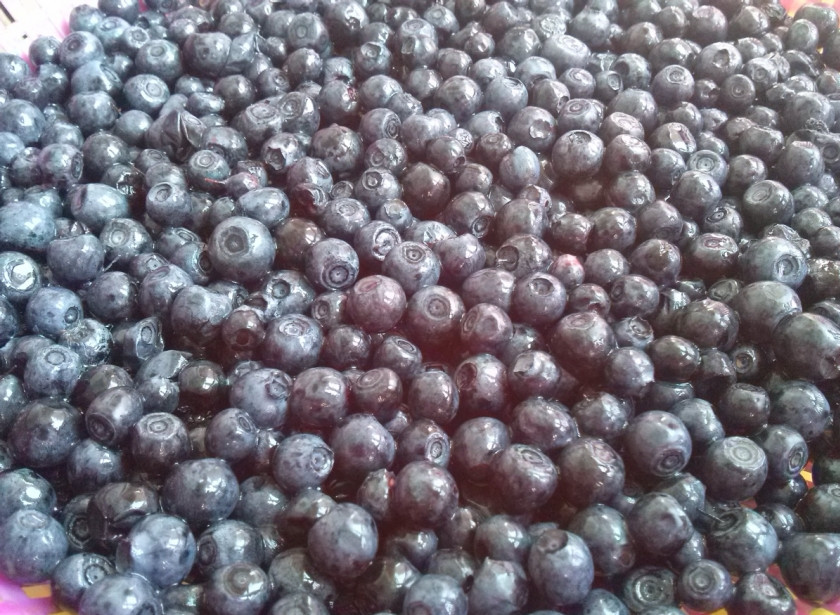 1. Этап. Варенье из черники пятиминутка: Ягоды переберите, уберите порченые, удалите у них плодоножки, промойте. Обсушите и сложите в кастрюлю.