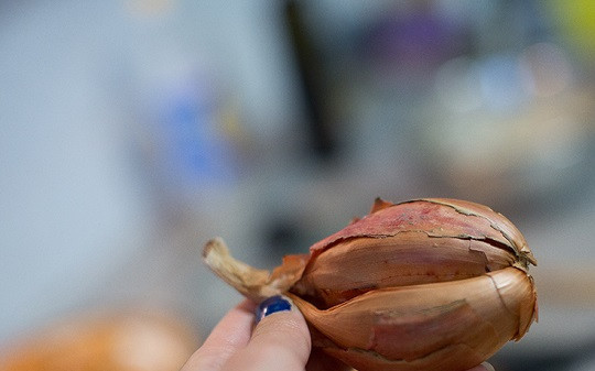 1. Этап. Рубленые котлеты из куриной грудки: 1. Для начала необходимо очистить луковицу и нарезать ее очень мелкими кубиками. Лук сделает рубленые котлеты из куриной грудки в домашних условиях более сочными. Чеснок очистить и пропустить через пресс. Также можно использовать сушеный чеснок в порошке.